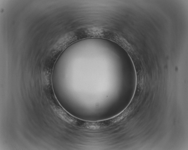 X0000086330658200703301231