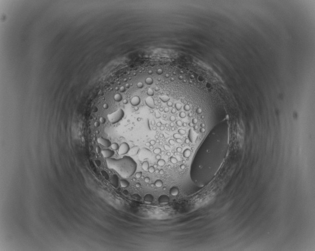 X0000086330663200703301231