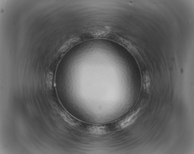 X0000086330664200703301231