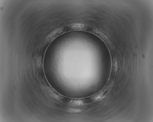 X0000086330665200703301231