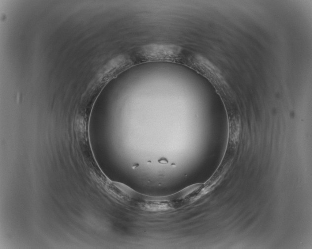 X0000086330669200703301231