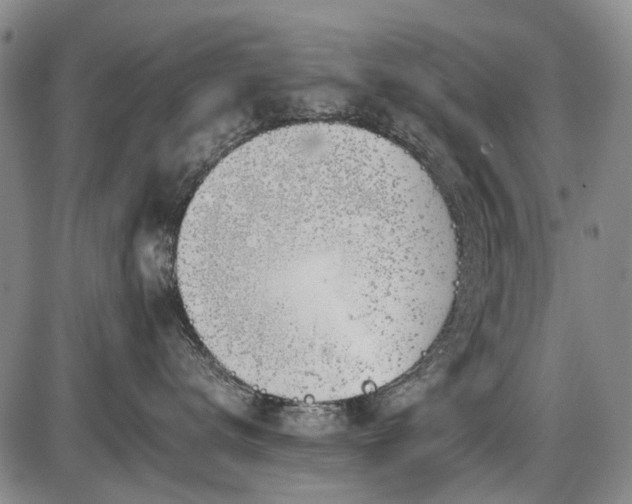 X0000086330672200703301231