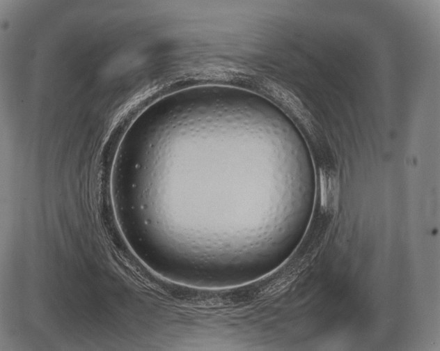 X0000086330675200703301230