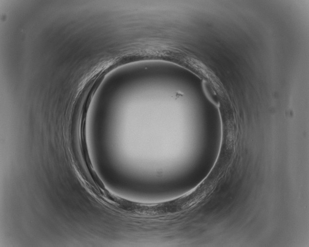 X0000086330677200703301230