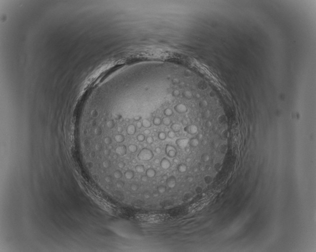 X0000086330679200703301230
