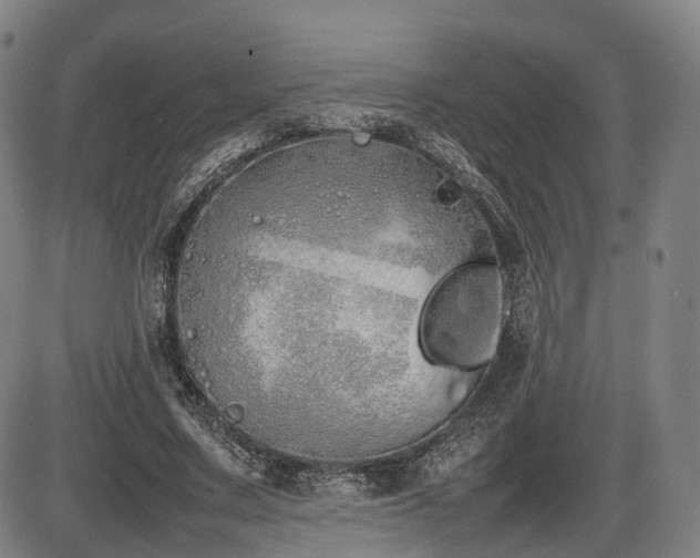 X0000086330683200703301230