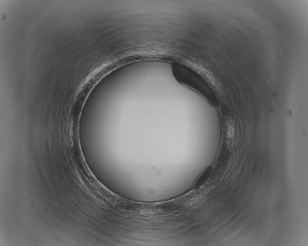 X0000086330684200703301230