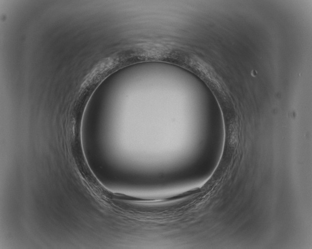 X0000086330685200703301230