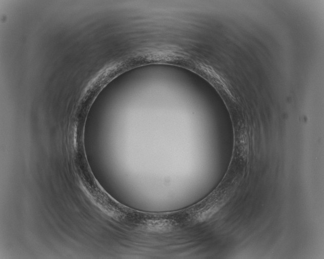 X0000086330686200703301230
