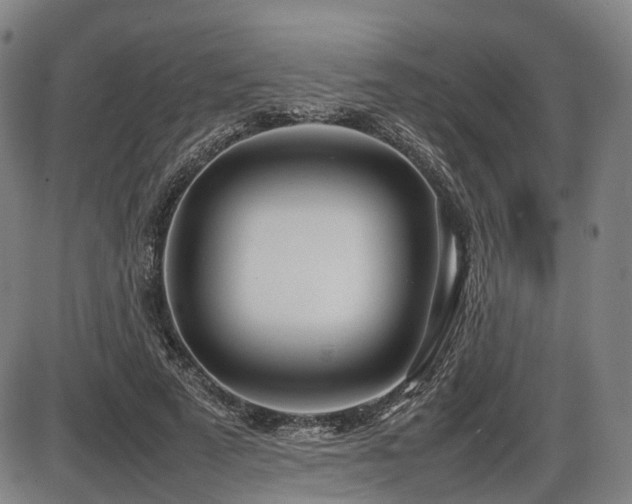 X0000086330689200703301230