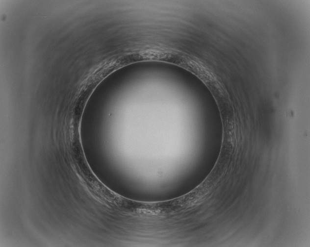 X0000086330690200703301230