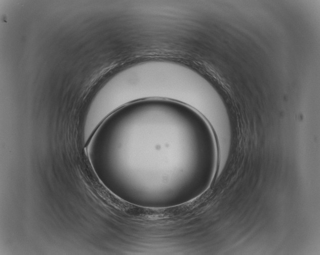X0000086330692200703301230