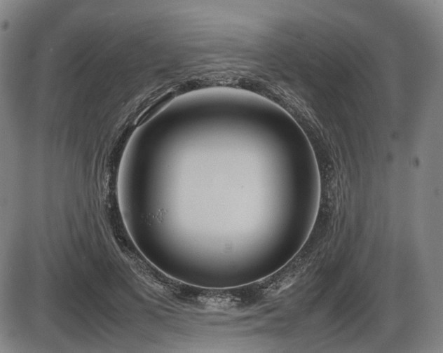 X0000086330693200703301230