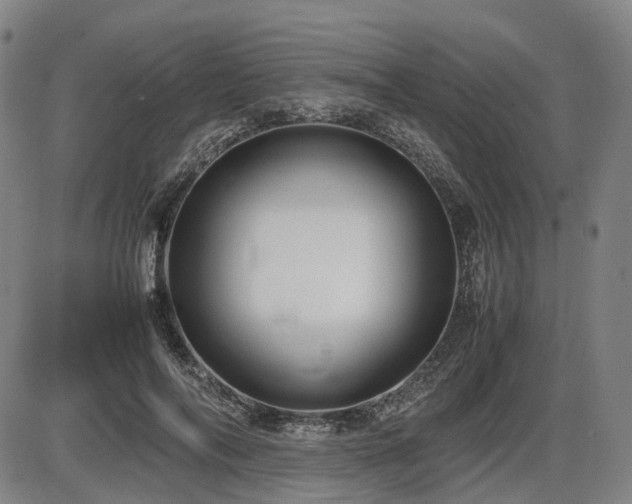 X0000086330694200703301230