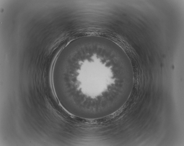 X0000086330696200703301230