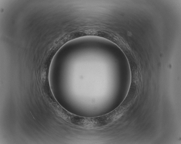 X0000086330697200703301230