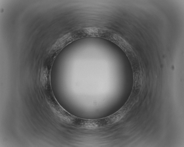 X0000086330702200703301230