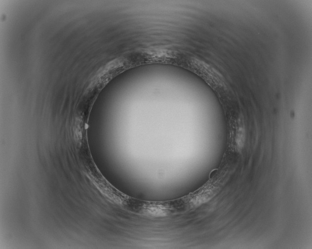X0000086330710200703301230