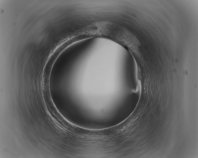 X0000086330722200703301229