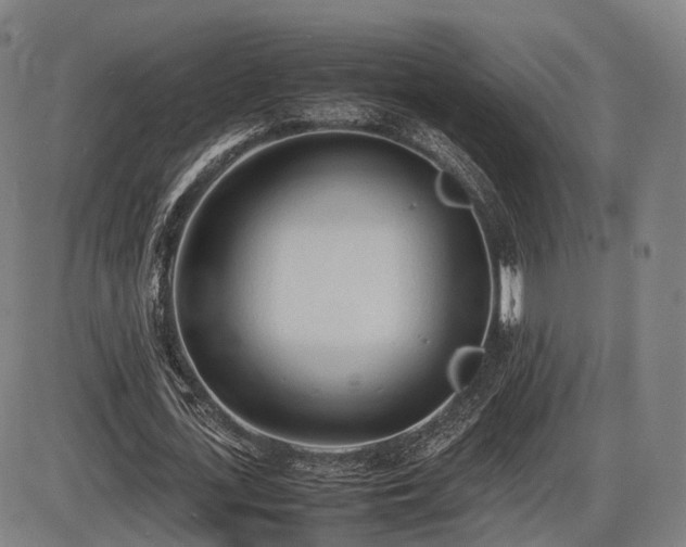 X0000086330723200703301229