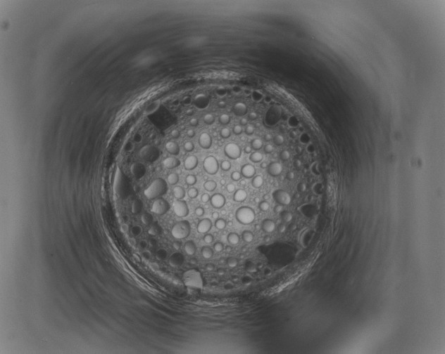 X0000086330725200703301229