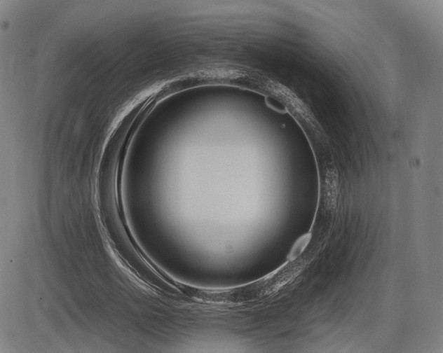 X0000086330726200703301229