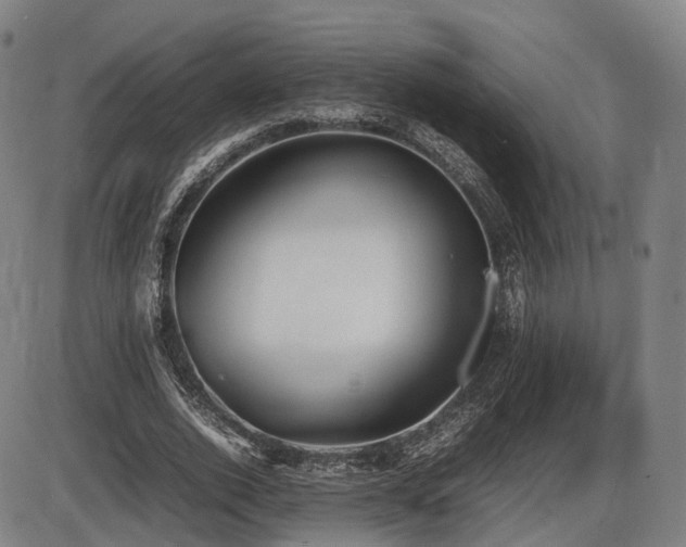 X0000086330728200703301229