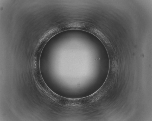 X0000086330731200703301229