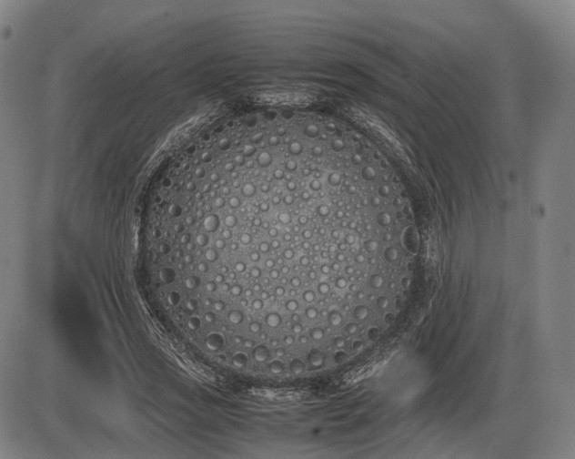 X0000086330733200703301229