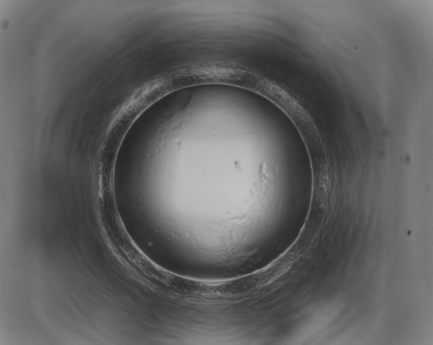 X0000086330734200703301229