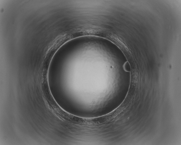 X0000086330738200703301229