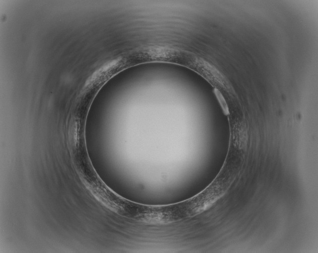 X0000086330740200703301229