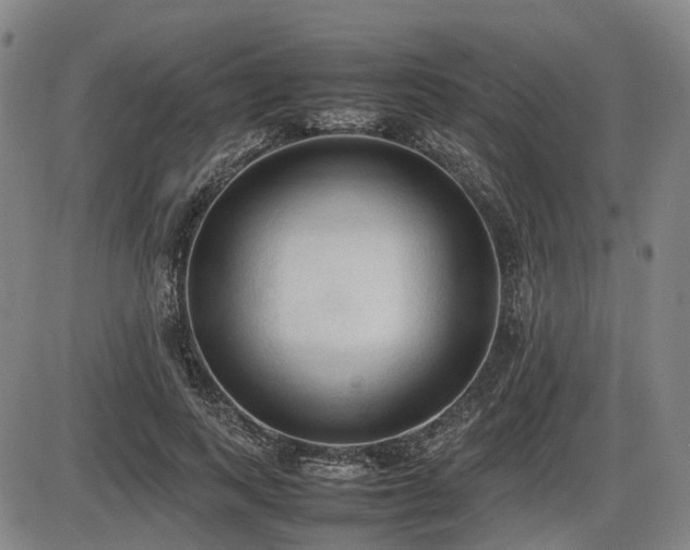 X0000086330743200703301229