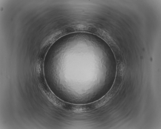 X0000086330746200703301229