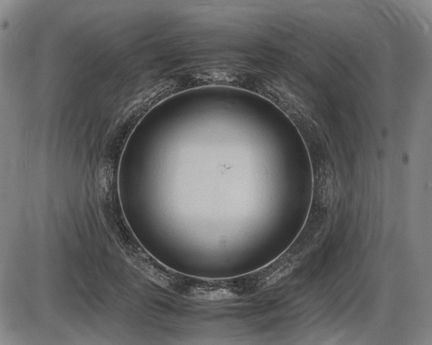 X0000086330747200703301229