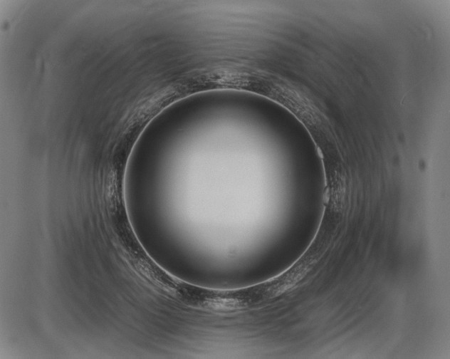 X0000086330748200703301229