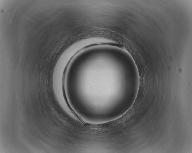 X0000086330750200703301229
