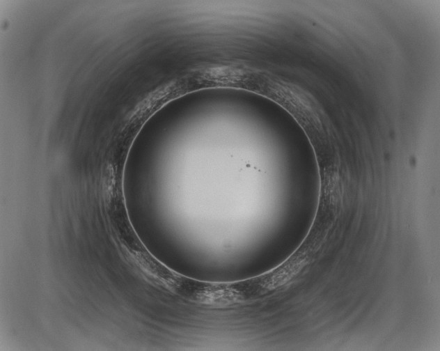 X0000086330752200703301229