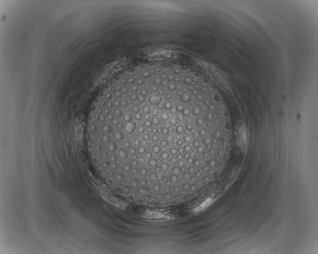 X0000086330753200703301229