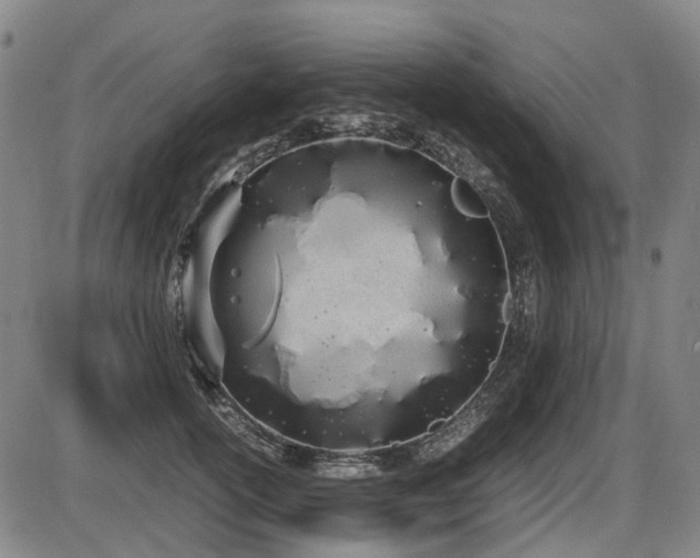 X0000086330754200703301229