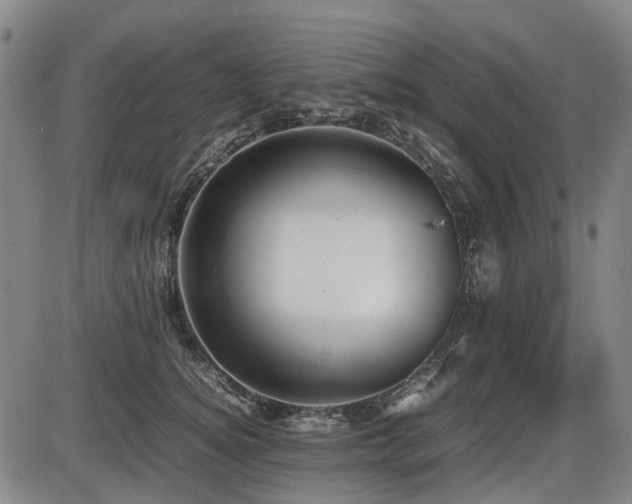 X0000086330756200703301230