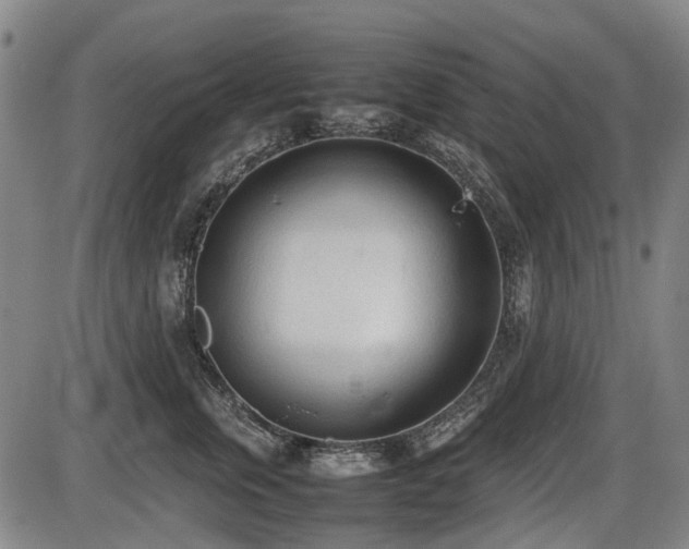 X0000086330759200703301230
