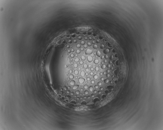 X0000086330761200703301230