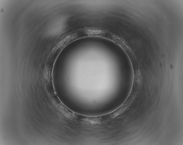 X0000086330763200703301230
