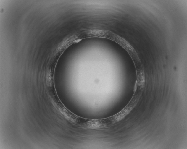 X0000086330764200703301230