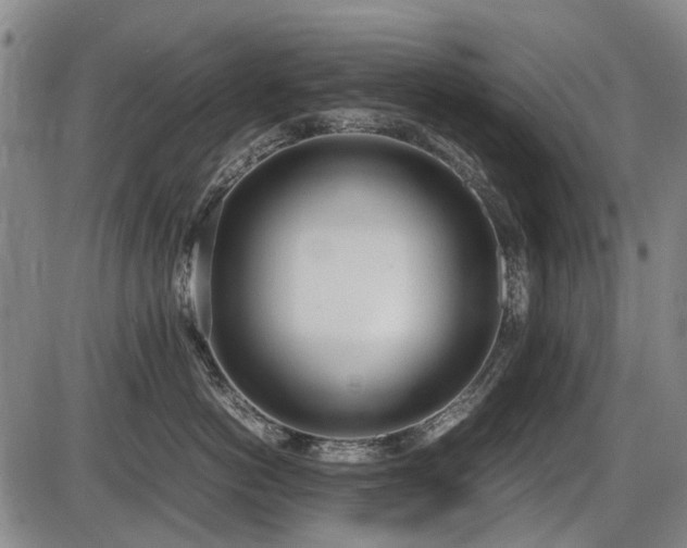 X0000086330766200703301230