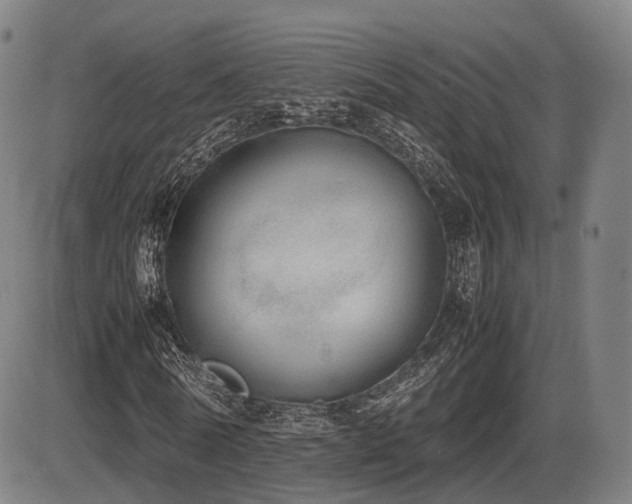 X0000086330770200703301229