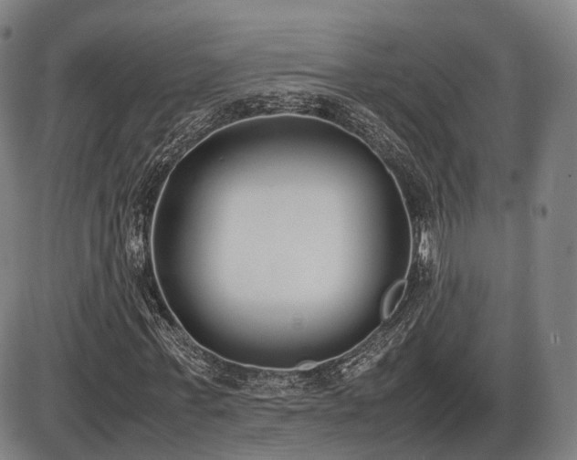 X0000086330771200703301229
