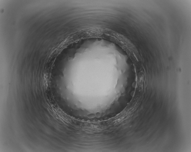 X0000086330772200703301229