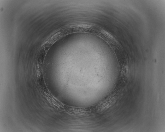 X0000086330774200703301229